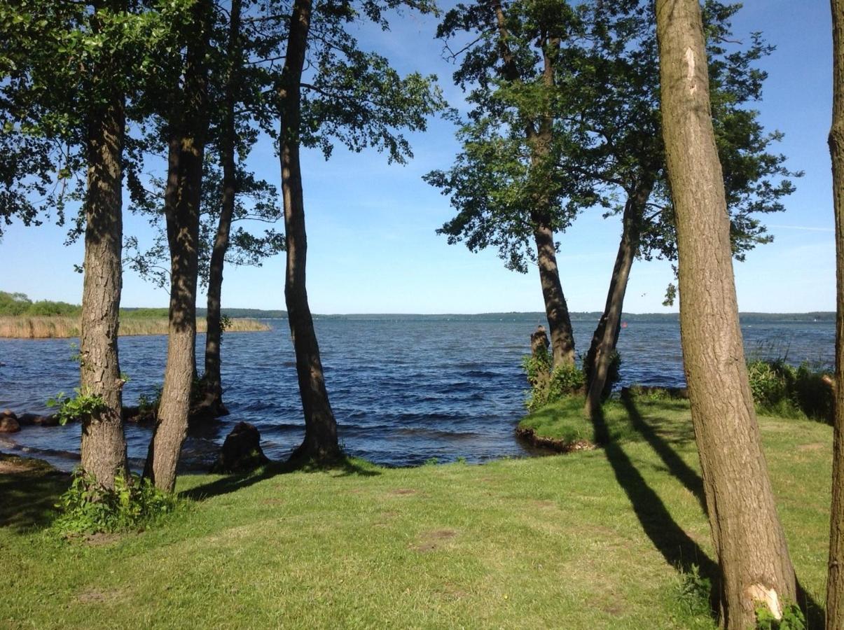 Ferienwohnung Maisonette Abendrot Am Plauer See Plau am See Eksteriør bilde